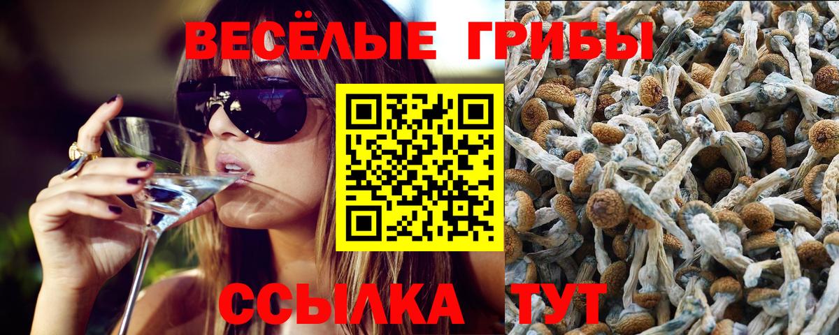 Псилоцибиновые грибы ЛСД  Вход с VPN  Белорецк 